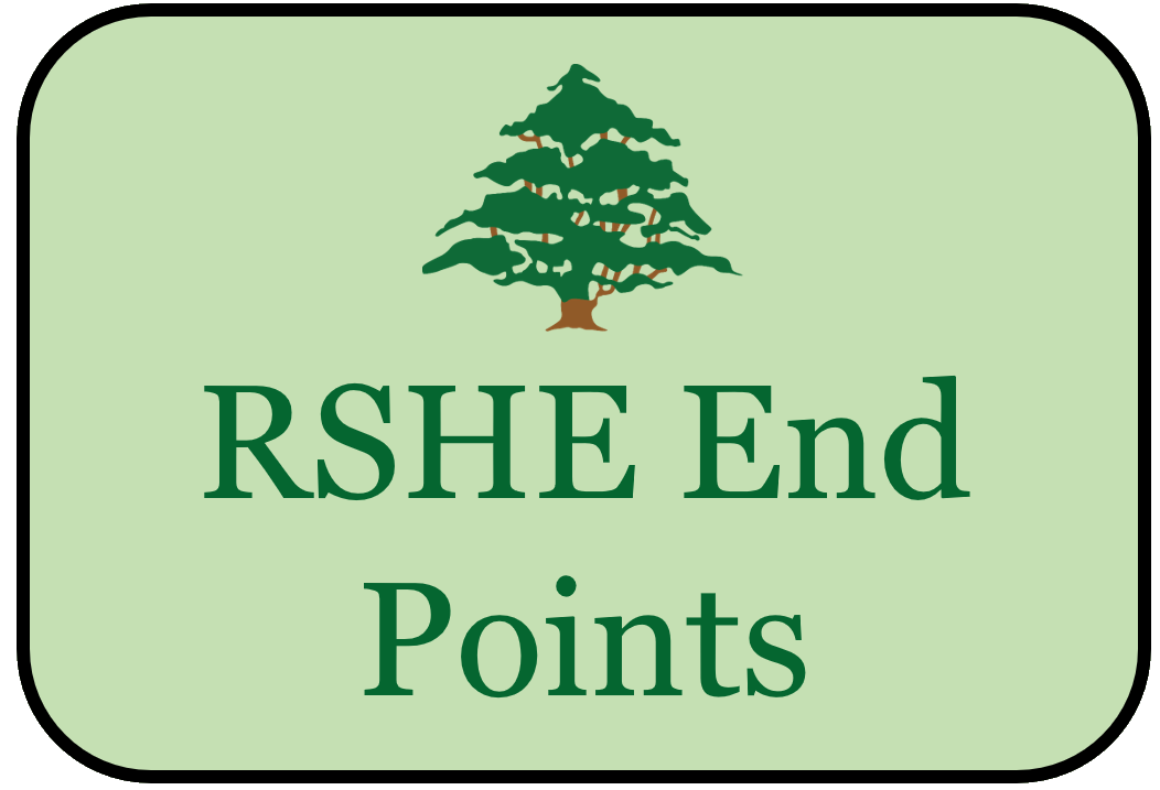 Button and link to RSHE End Points