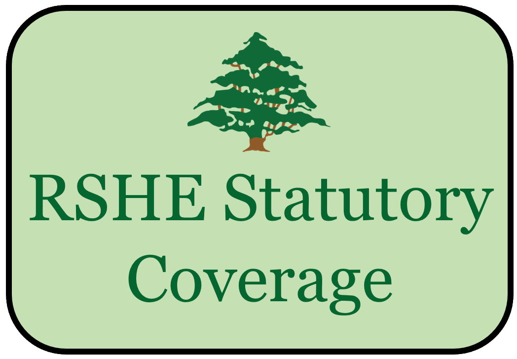 Button and link to RSHE Statutory Coverage